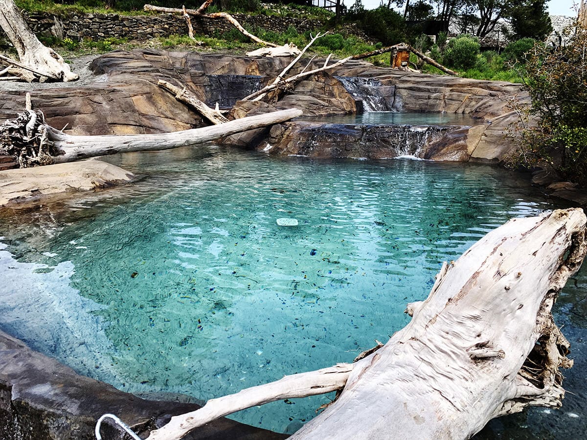 Décor de bassin à loutres en faux rocher réalisé pour un parc zoologique