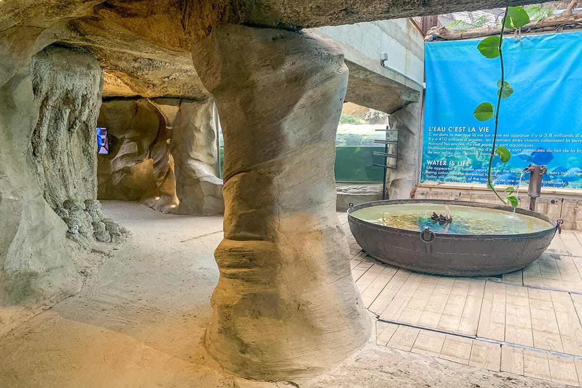 Décor de grotte en faux rocher pour les espaces de visite de La Ferme aux Crocodiles à Pierrelatte