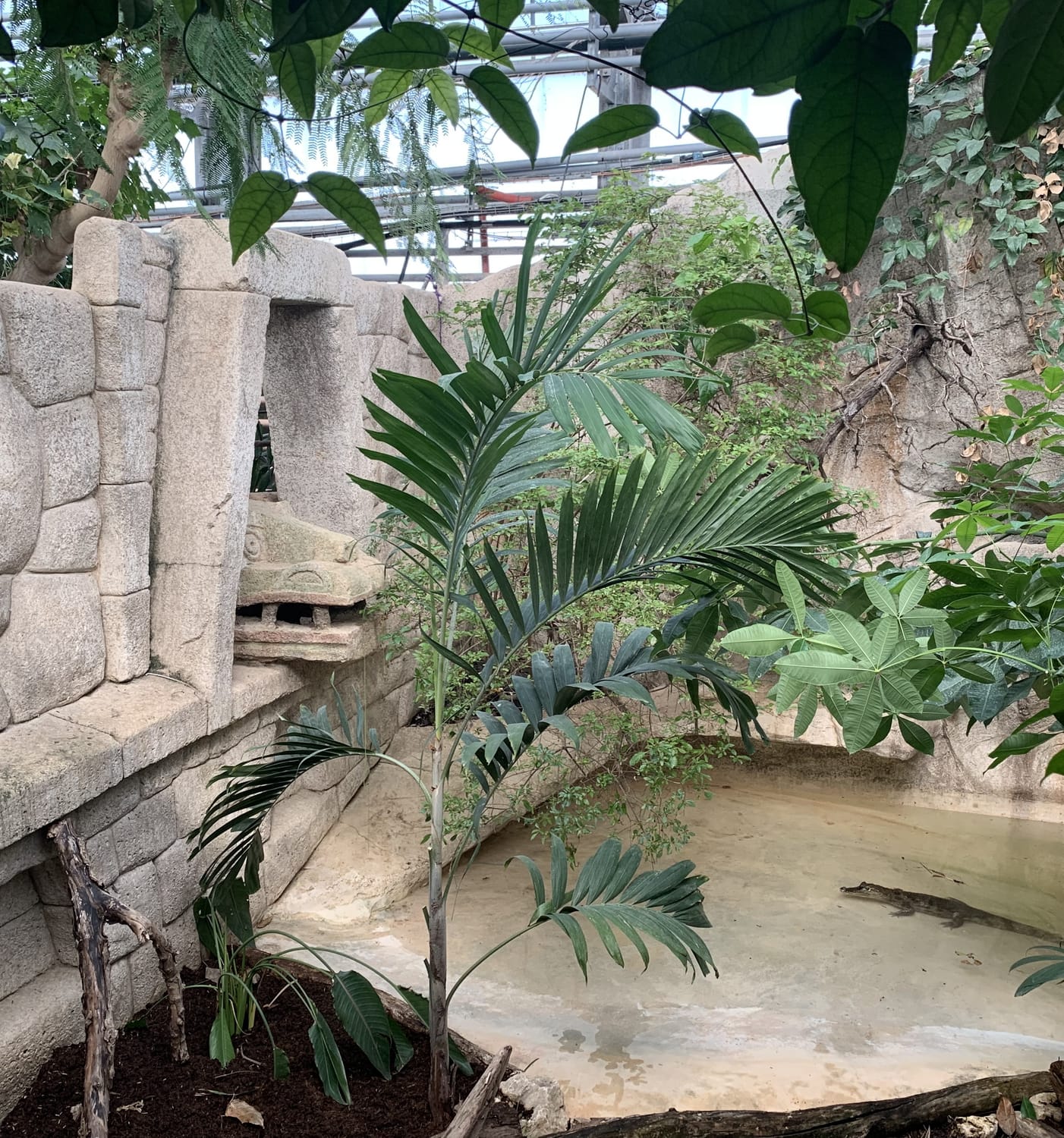 Décor de temple aztèque en béton sculpté réalisé pour la Ferme aux Crocodiles