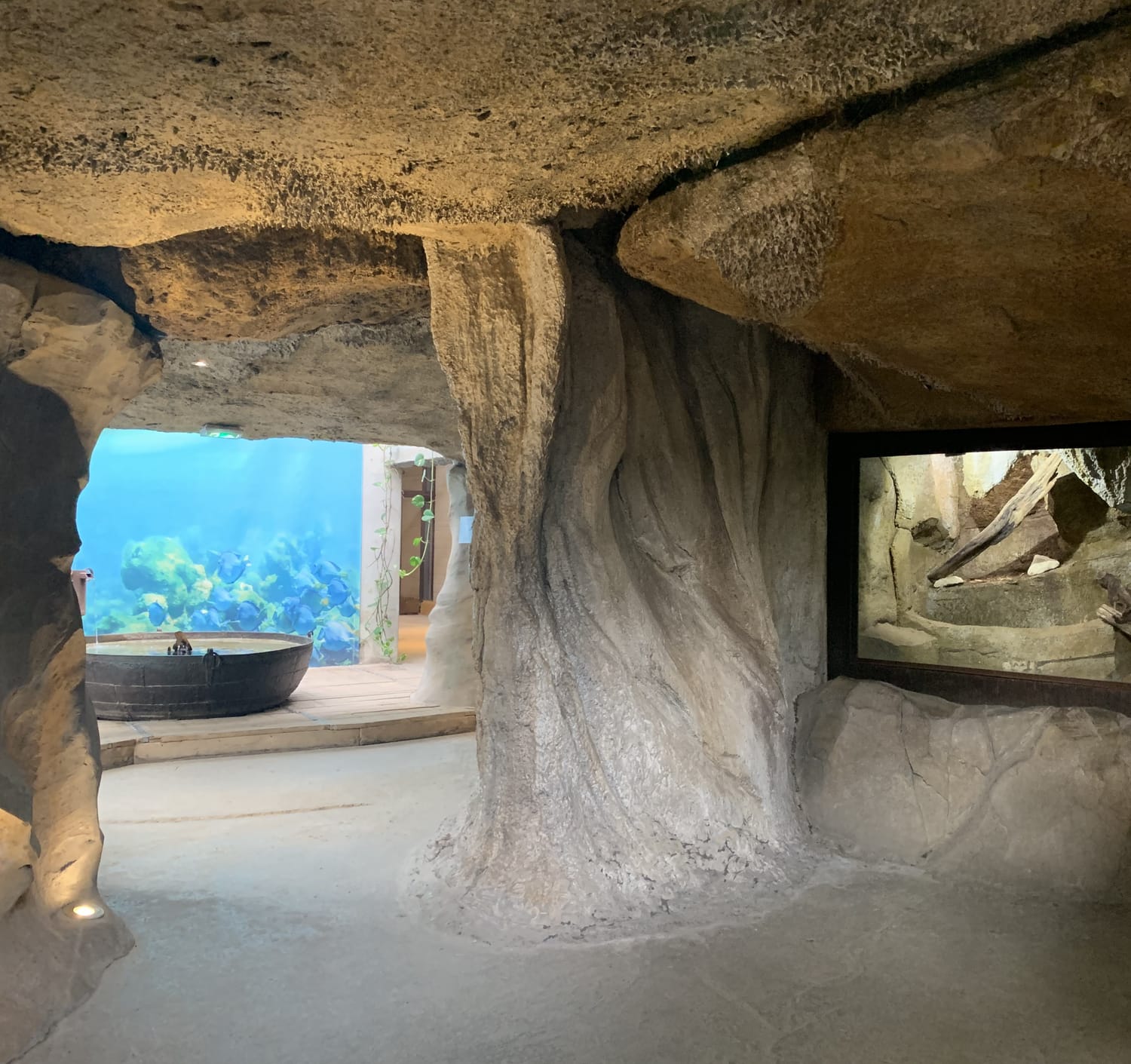 Grotte en faux rocher réalisée en béton sculpté pour La Ferme aux Crocodiles à Pierrelatte