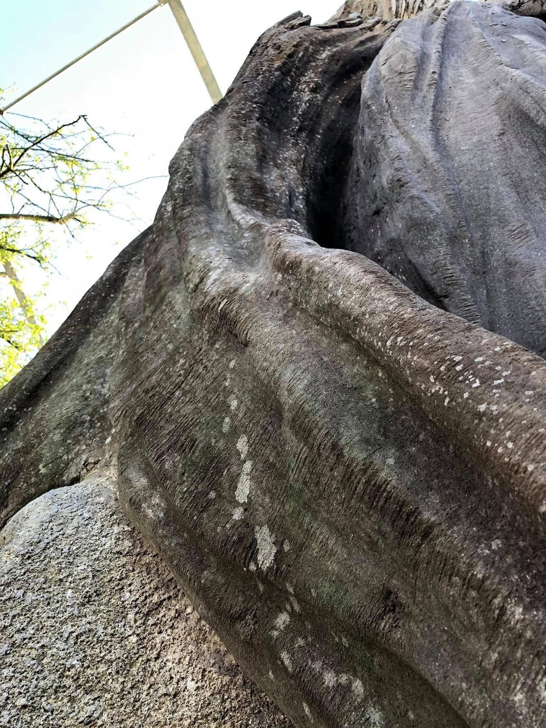 Détail des racines d’un faux arbre réalisé en béton sculpté au Domaine des Ormes en Bretagne