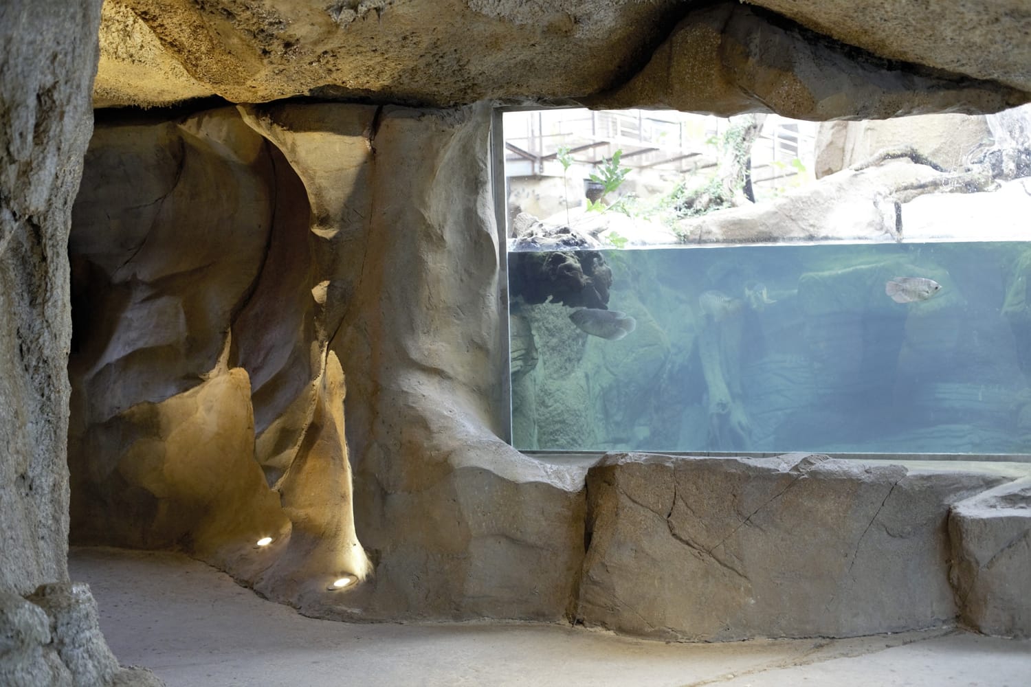 Décor rocheux autour d’un bassin à la Ferme aux crocodiles