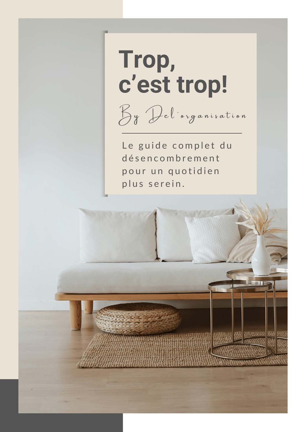 ebook désencombrement et organisation