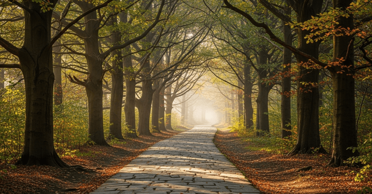 A long, tree-lined path stretching into soft light, symbolizing the uncertain middle stage of growth where progress continues without clear milestones.