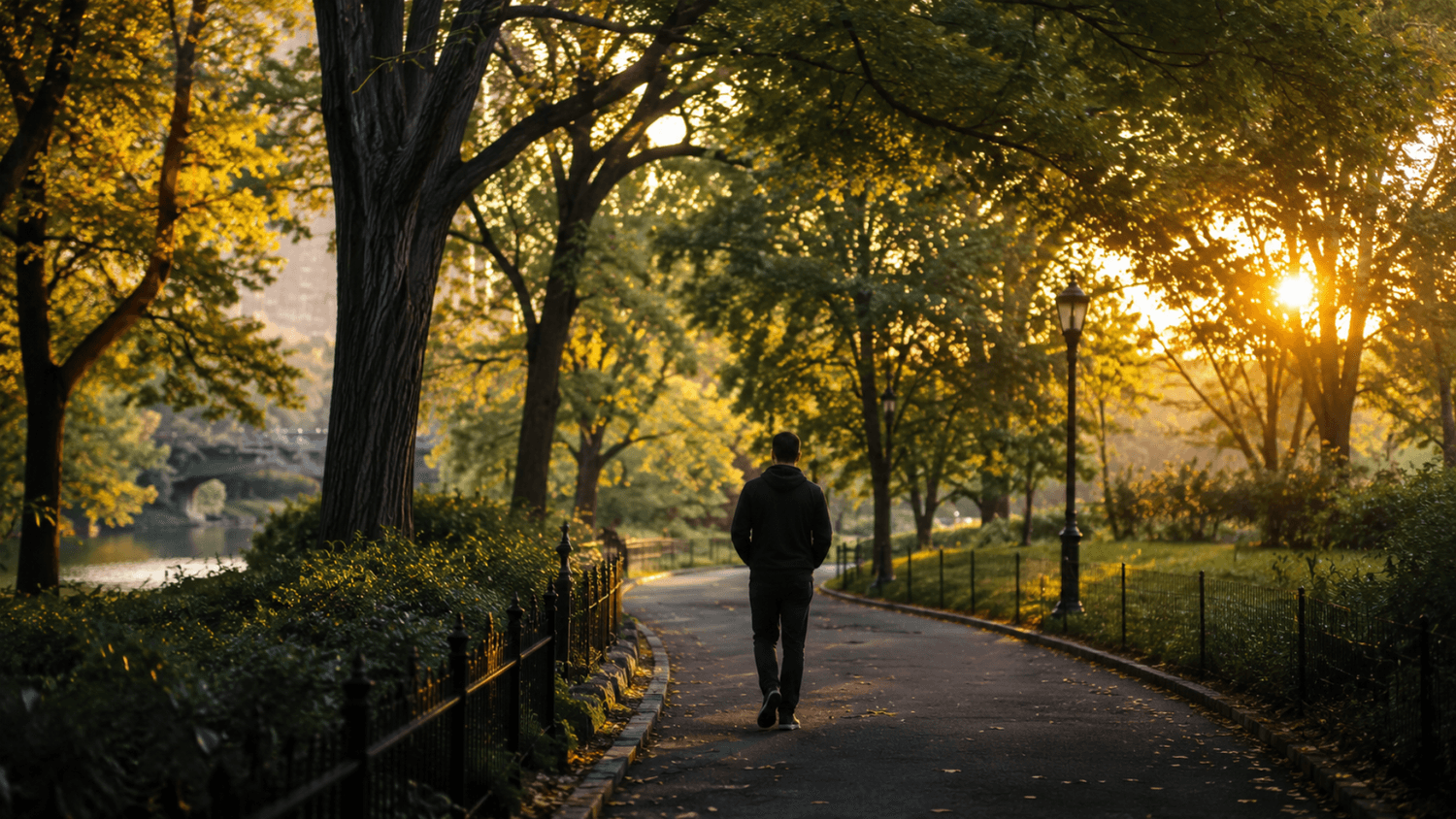 A person walks thoughtfully along a peaceful city park path during golden hour with sunlight filtering through the trees.