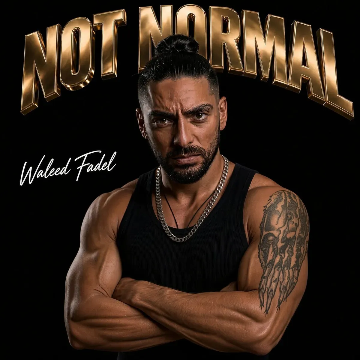 Not Normal by Waleed Fadel, music cover