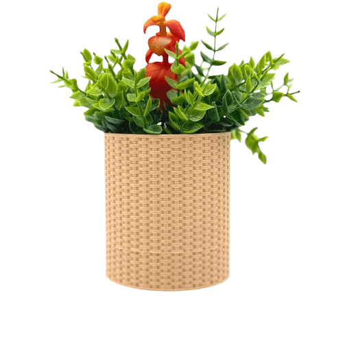 Vaso Cesta de Parede Decoração Planta Suculenta Ambientes Designs 4 You
