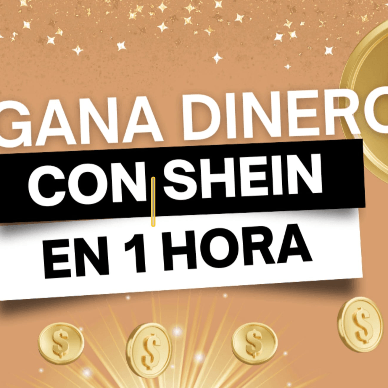 Monetizar con Shein
