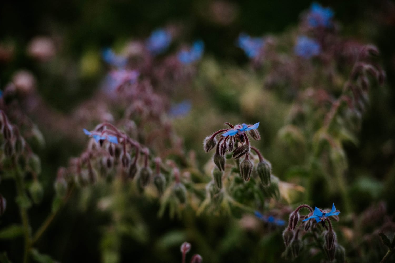 A natural outdoor scene