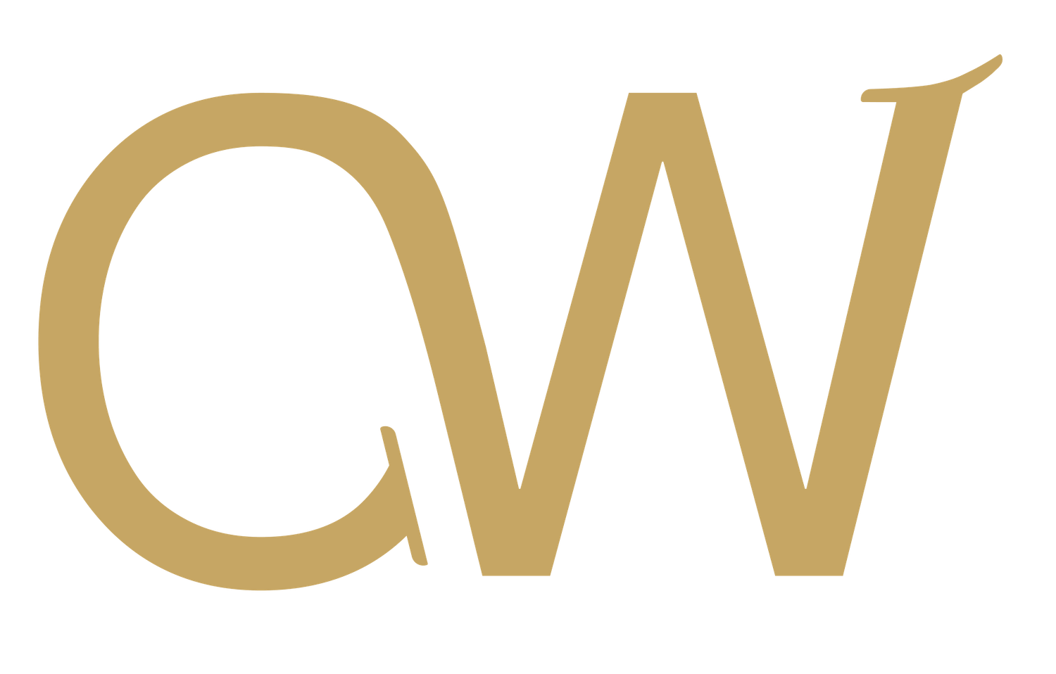 Calvin C S Wong