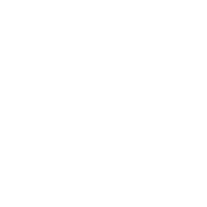inmigración con acción consulta gratuita