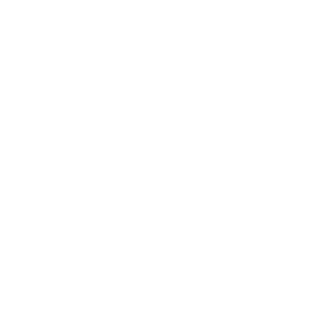 inmigración con acción asesoria legal segura