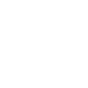 inmigración con acción resultados comprobados