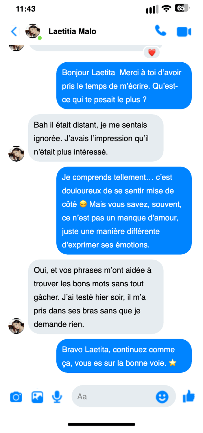 Avis Messenger — capture 1