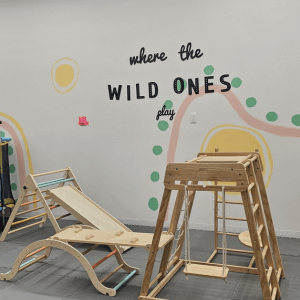 Indoor play area at Kitten’s Korner featuring climbing toys and “Where the Wild Ones Play” wall