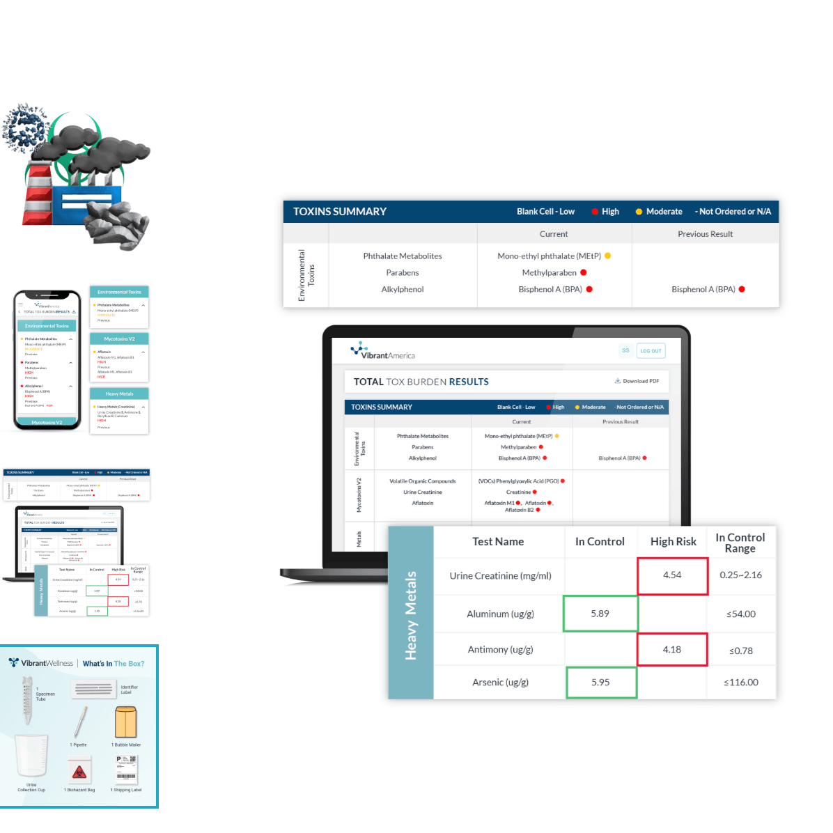 Vibrant Wellness Total Tox Burden