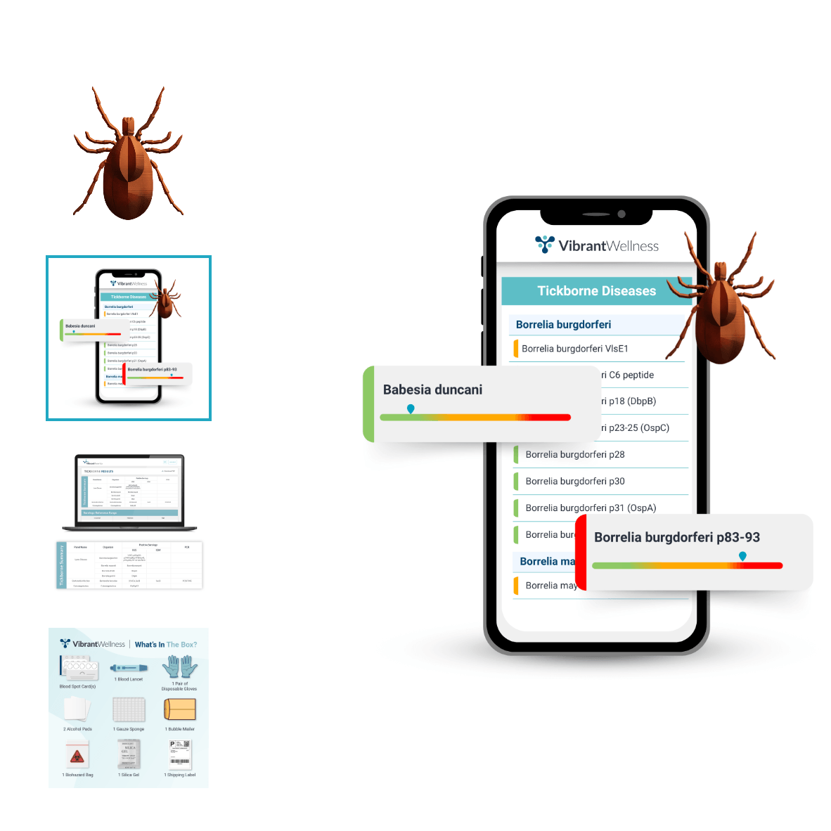 Vibrant Wellness Tick Borne 2.0 + Total Tox