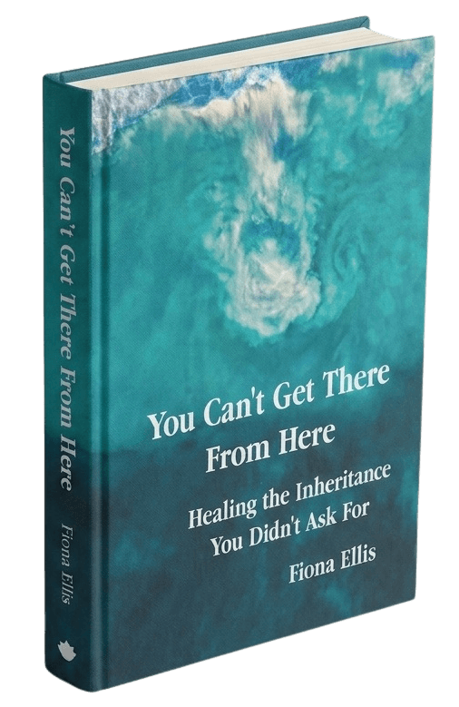 You Can't Get There From Here — Fiona Ellis — Balboa Press