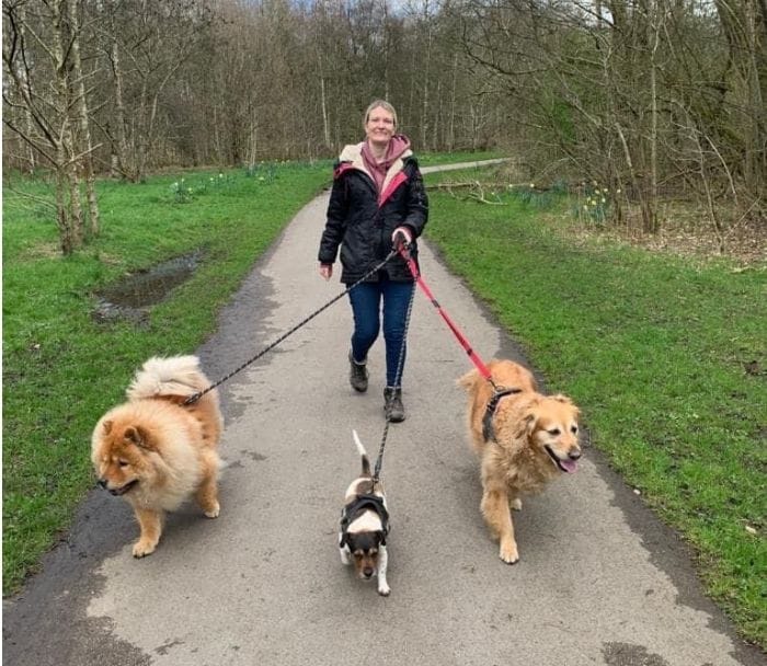 Emma on the woodland path walking 3 dogs
