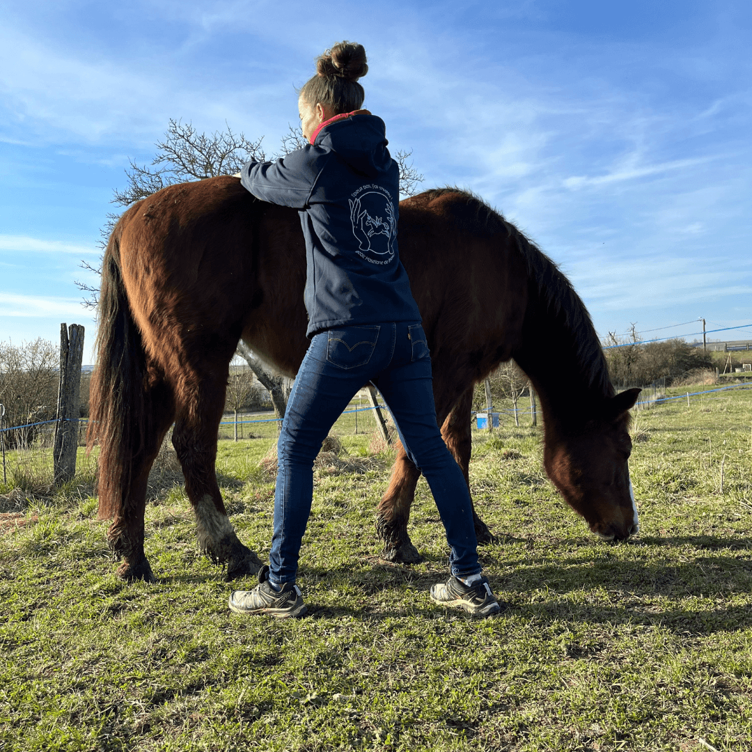 Katia Goguey massant un cheval