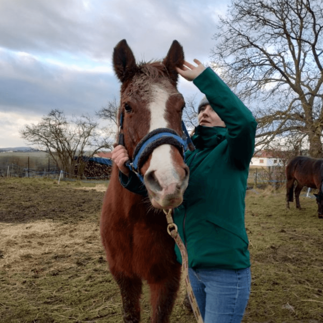 Personne en formation de shiatsu équin