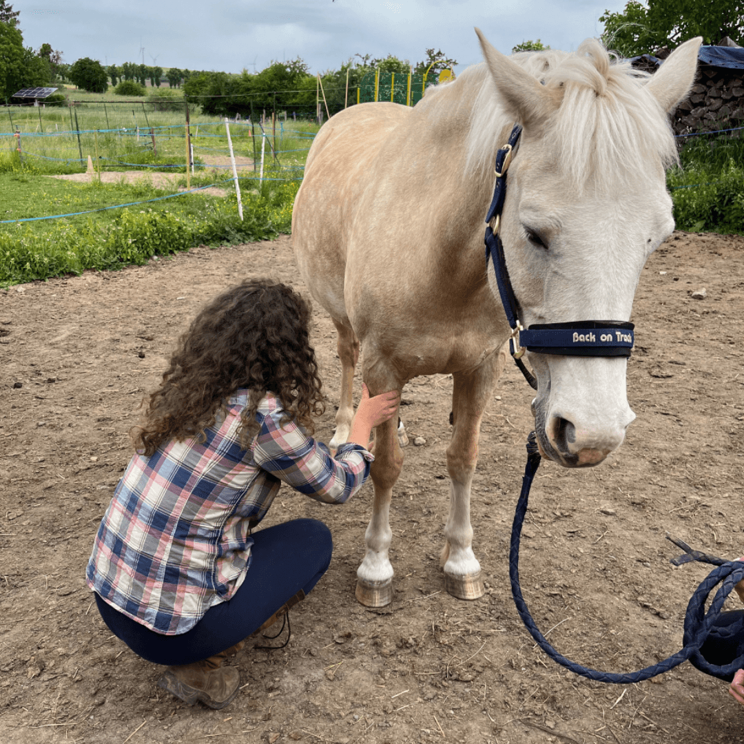 Personne en formation de shiatsu équin
