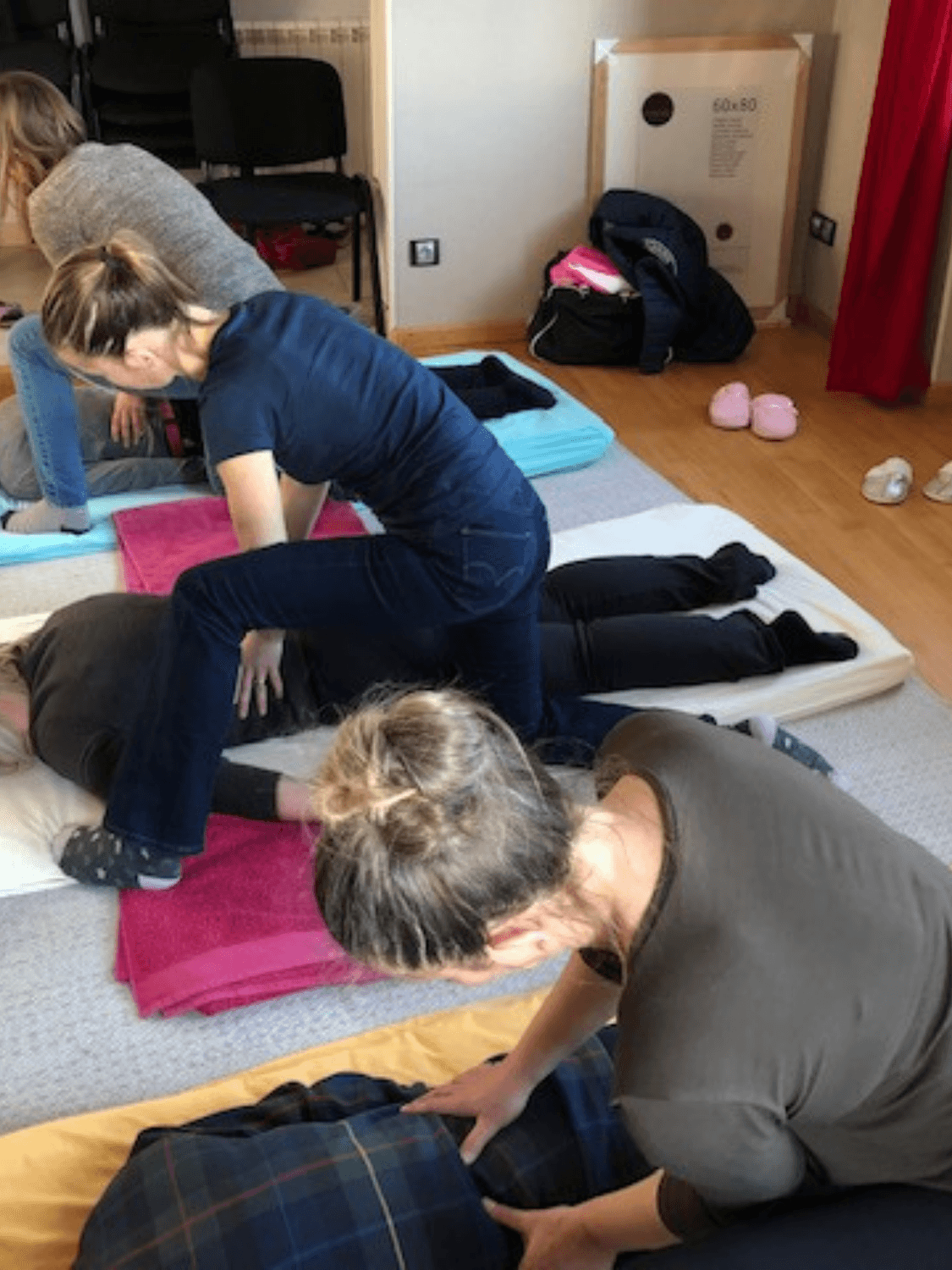 Séance shiatsu sur cheval – Brulange Moselle