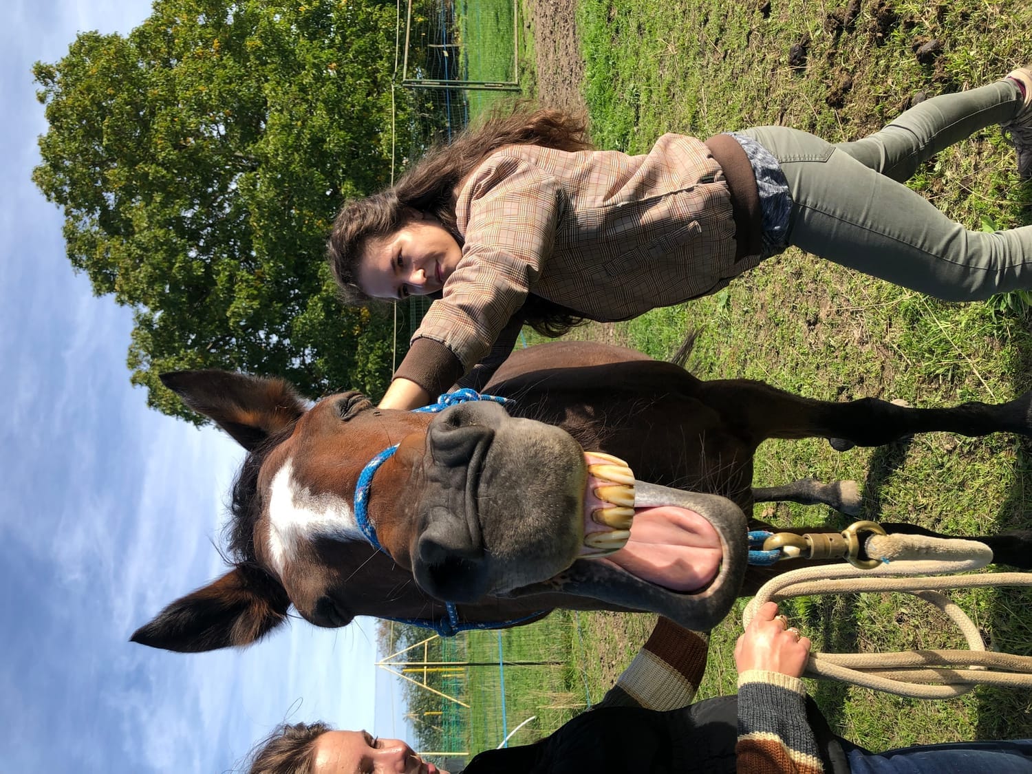 Cavalière apprentissage shiatsu équin