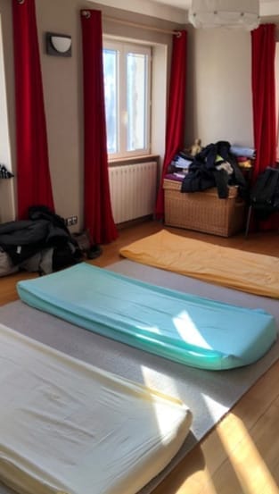 Formation en shiatsu humain