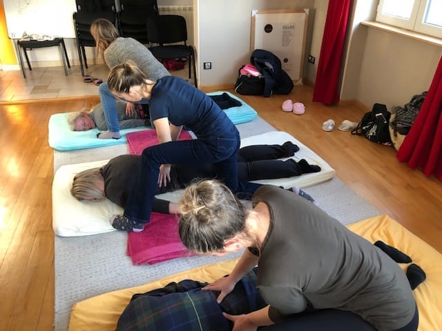Formation en shiatsu humain