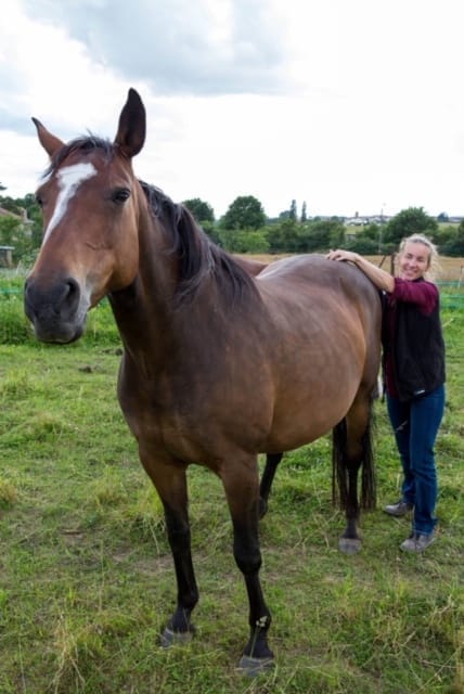 Démonstration de shiatsu équin par Katia