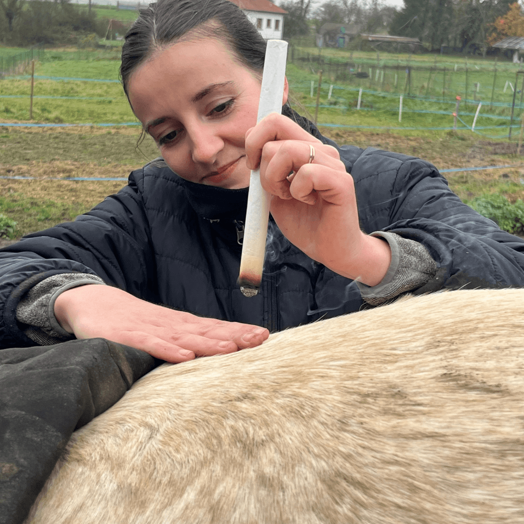 Cavalière apprentissage shiatsu équin