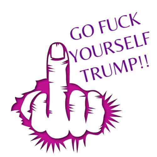 GO FUCK YOURSELF TRUMP!