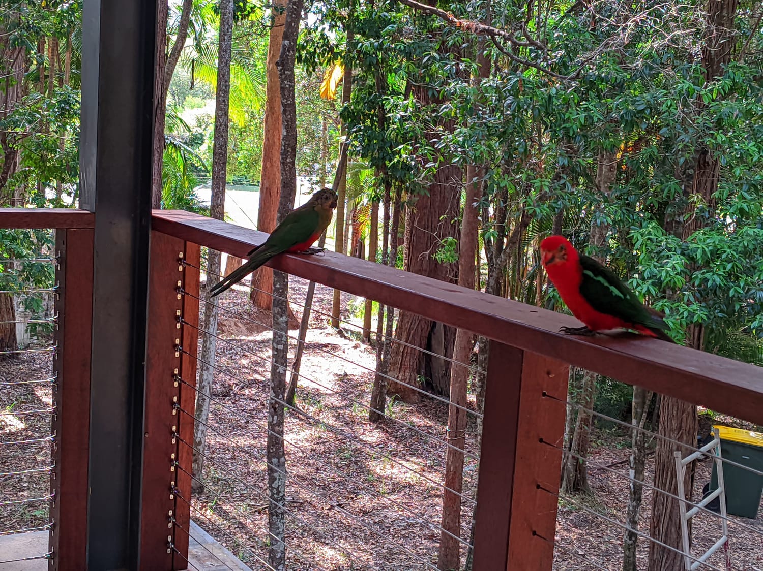 Deck and protected corridor