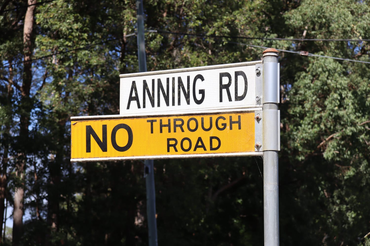 Anning Road frontage and property setting