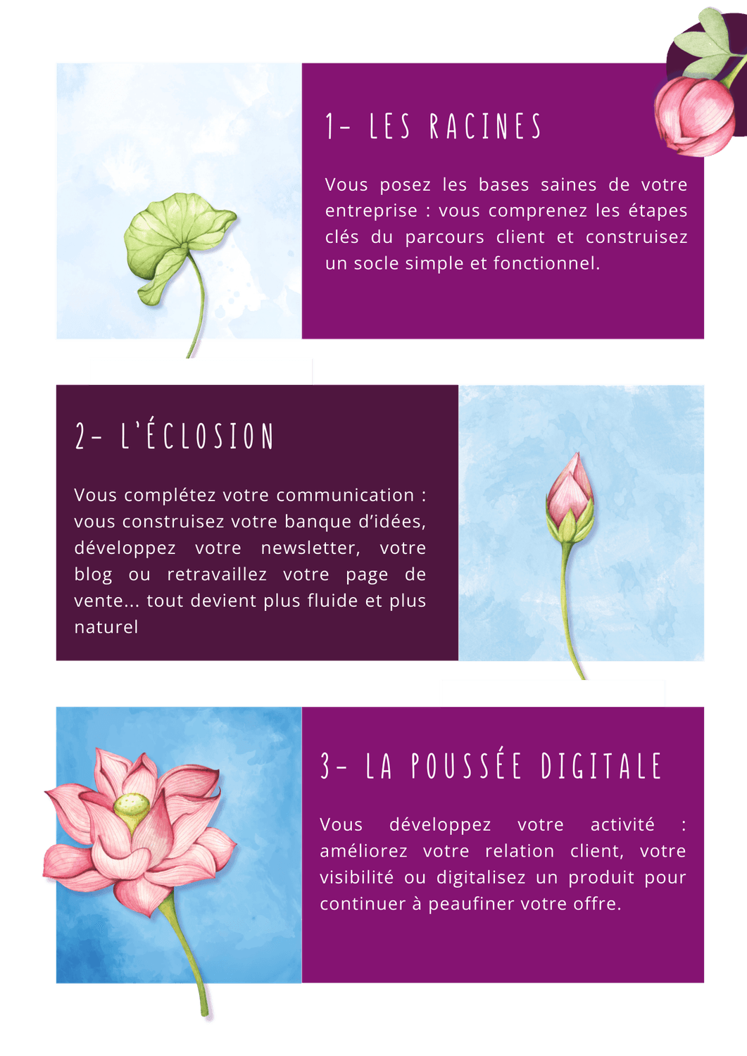 Les 3 grands modules du cercle du bourgeon digital : les racines (les bases du parcours client pour construire un socle simple et fonctionnel), l'éclosion (pour développer sa communication à l'aide d'une banque d'idées, d'une newsletter, d'un blog, d'une page de vente), la poussée digitale (pour améliorer encore sa relation client, sa visibilité ou pour digitaliser un produit)