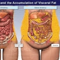 The 3-Step Weight Loss Plan for Busy Women Course 