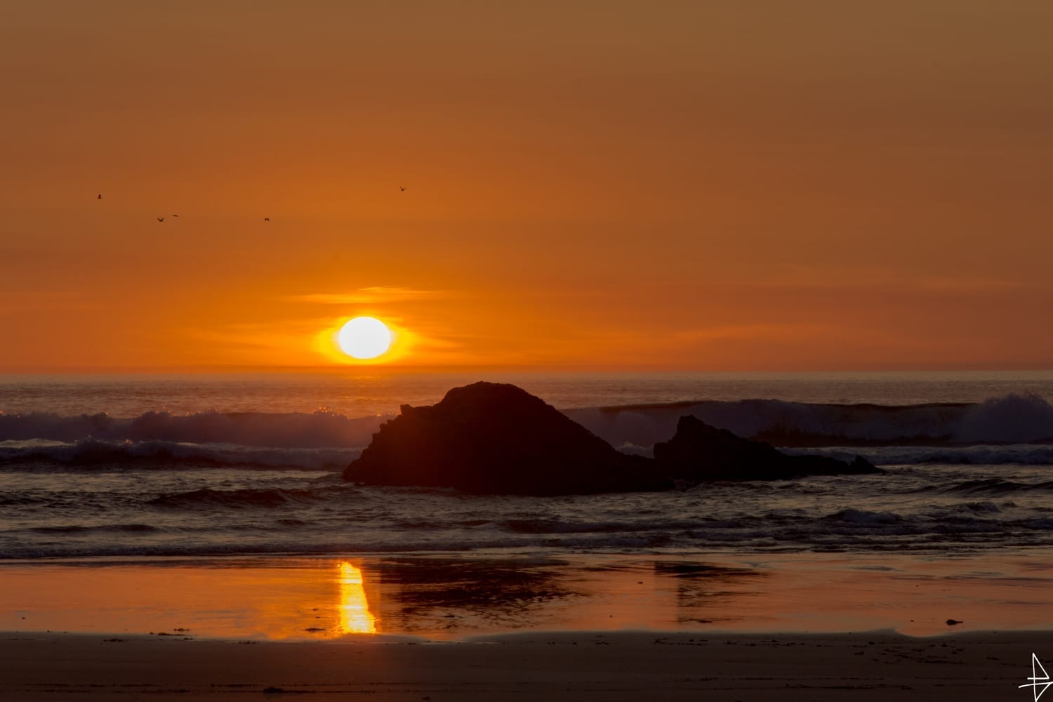 Photo plage de Belle-Île 2