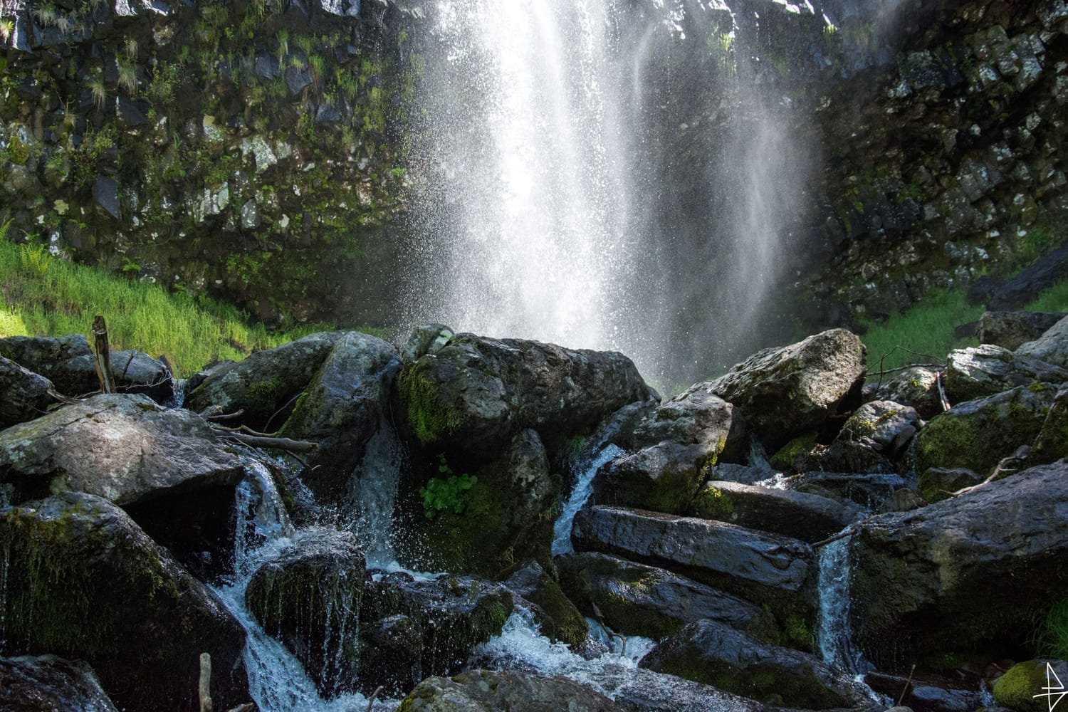 Photo bas d'une cascade