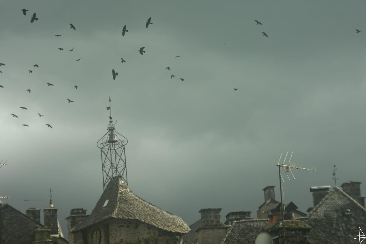Photo ciel gris, clocher et envolée d'oiseaux