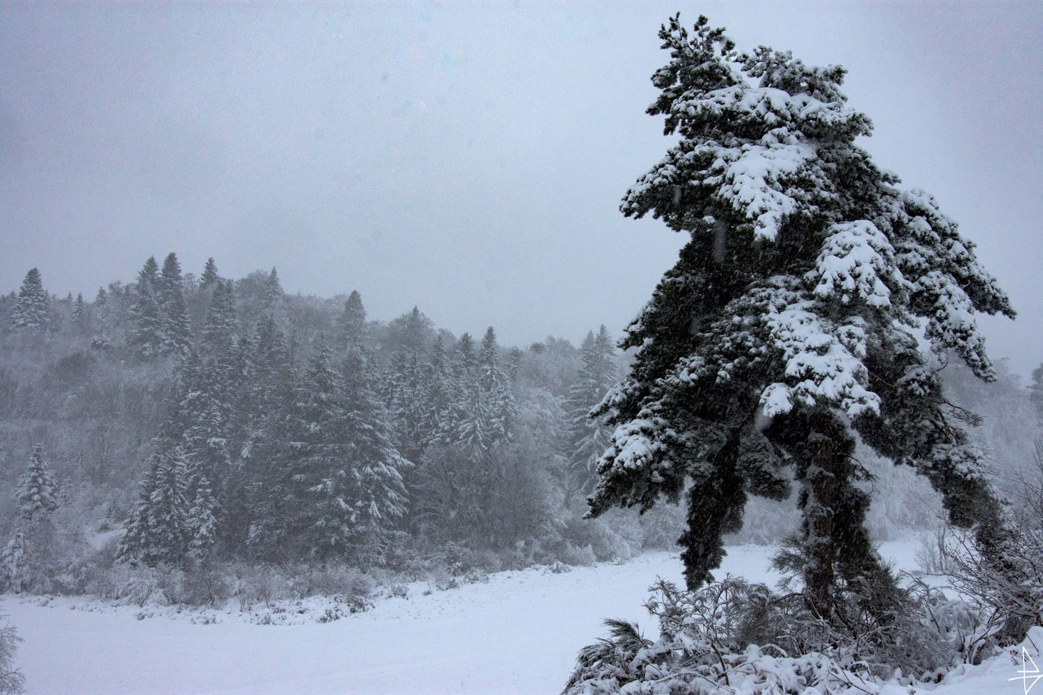 Photo paysage enneigé