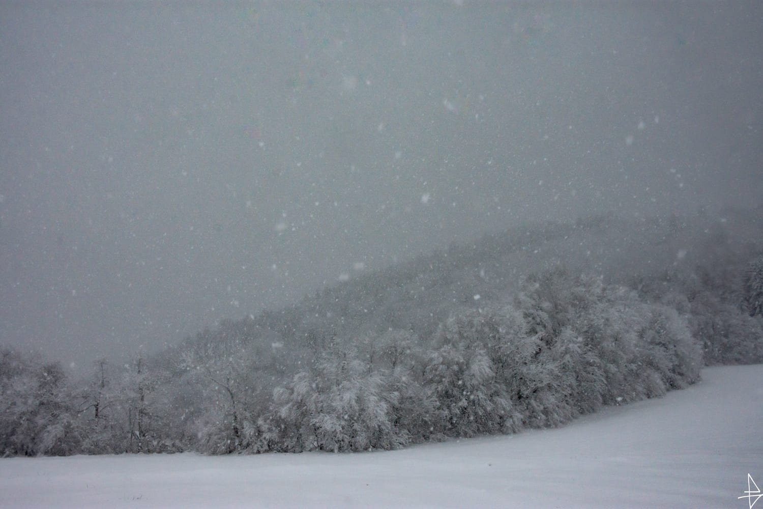 Photo tempête de neige