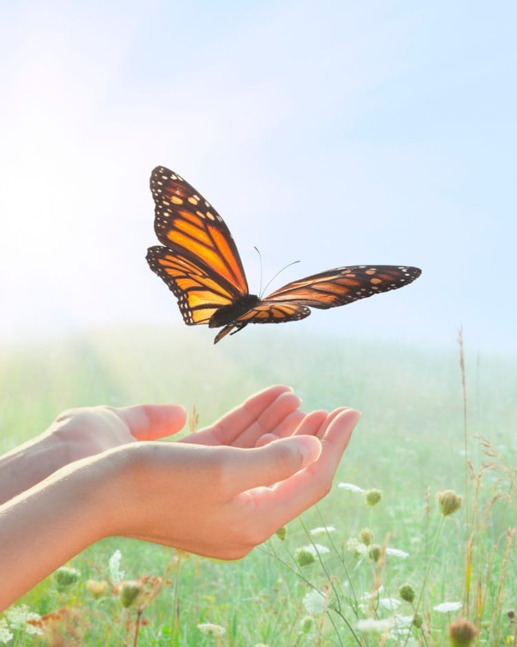 Hablemos sobre duelo