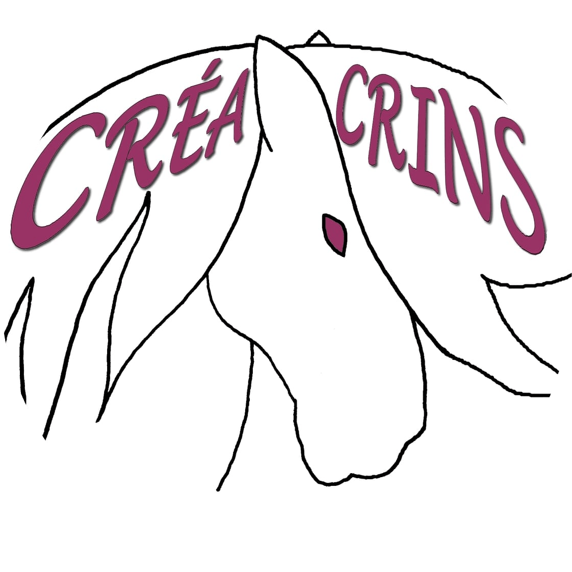 Créa-Crins