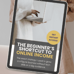 DMS - DIGITAL MAGNETIC SYSTEM