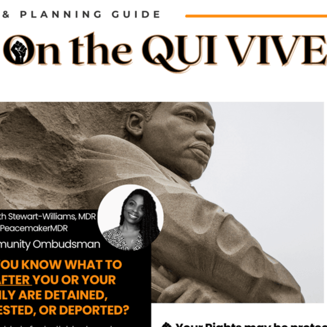 On the QUI VIVE: Comprehensive Protection Planning Guide