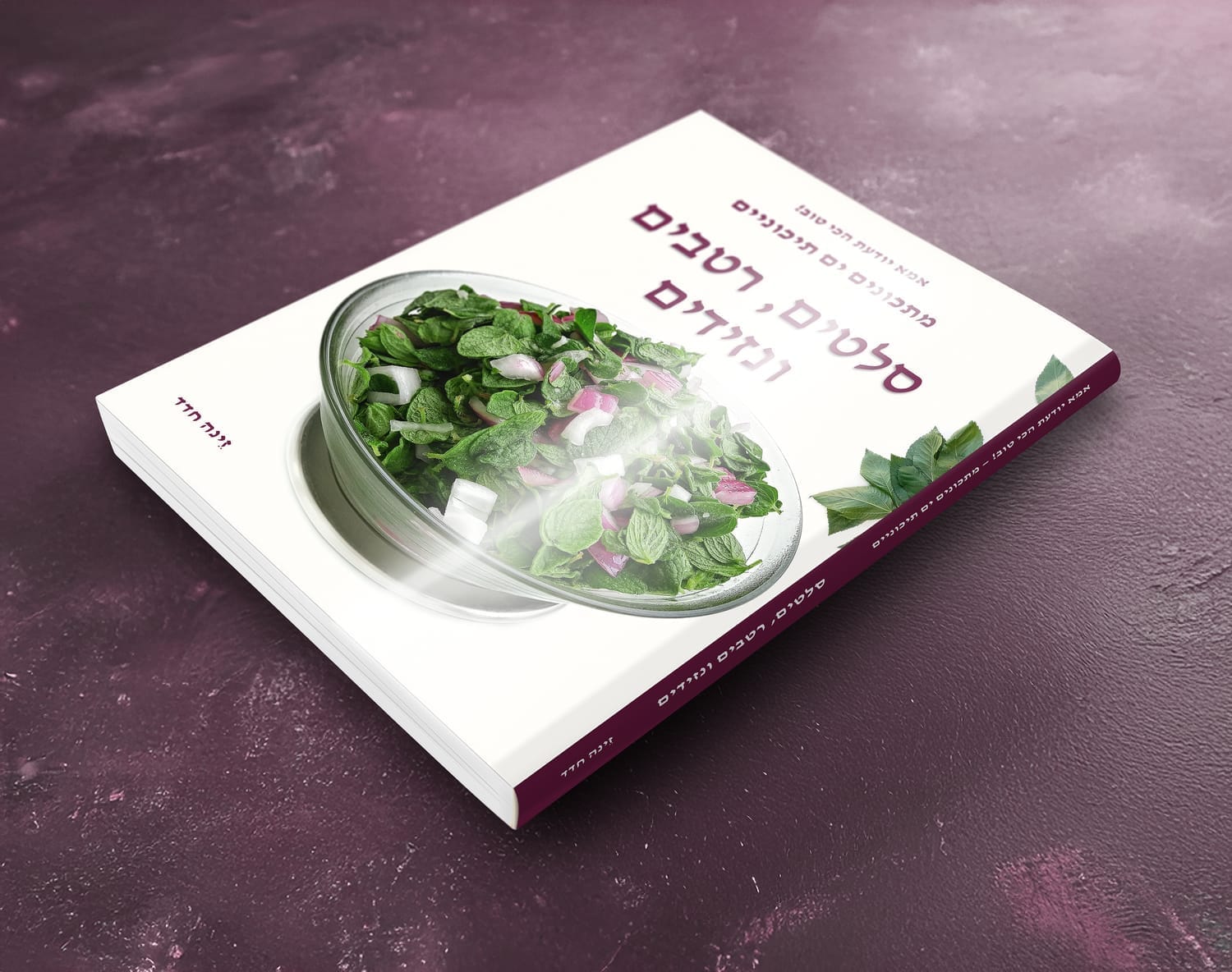 הדמיה לספר סלטים, רטבים ונזידים