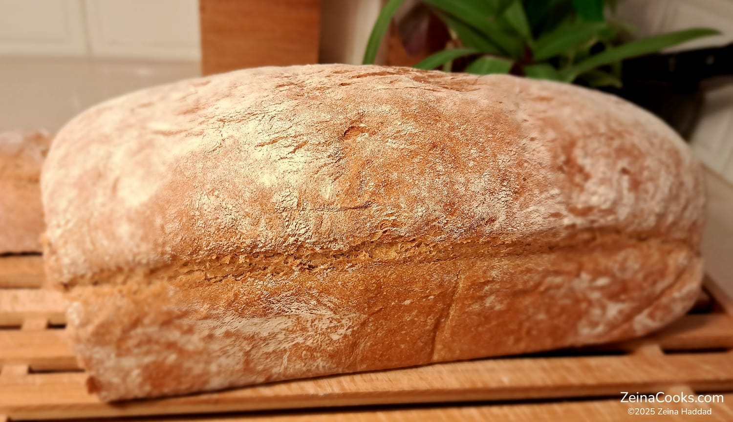The baked 50/50 Loaf, half white/half wheat flour, with a crispy crust, on a wooden rack, a side view, by ZeinaCooks.com.