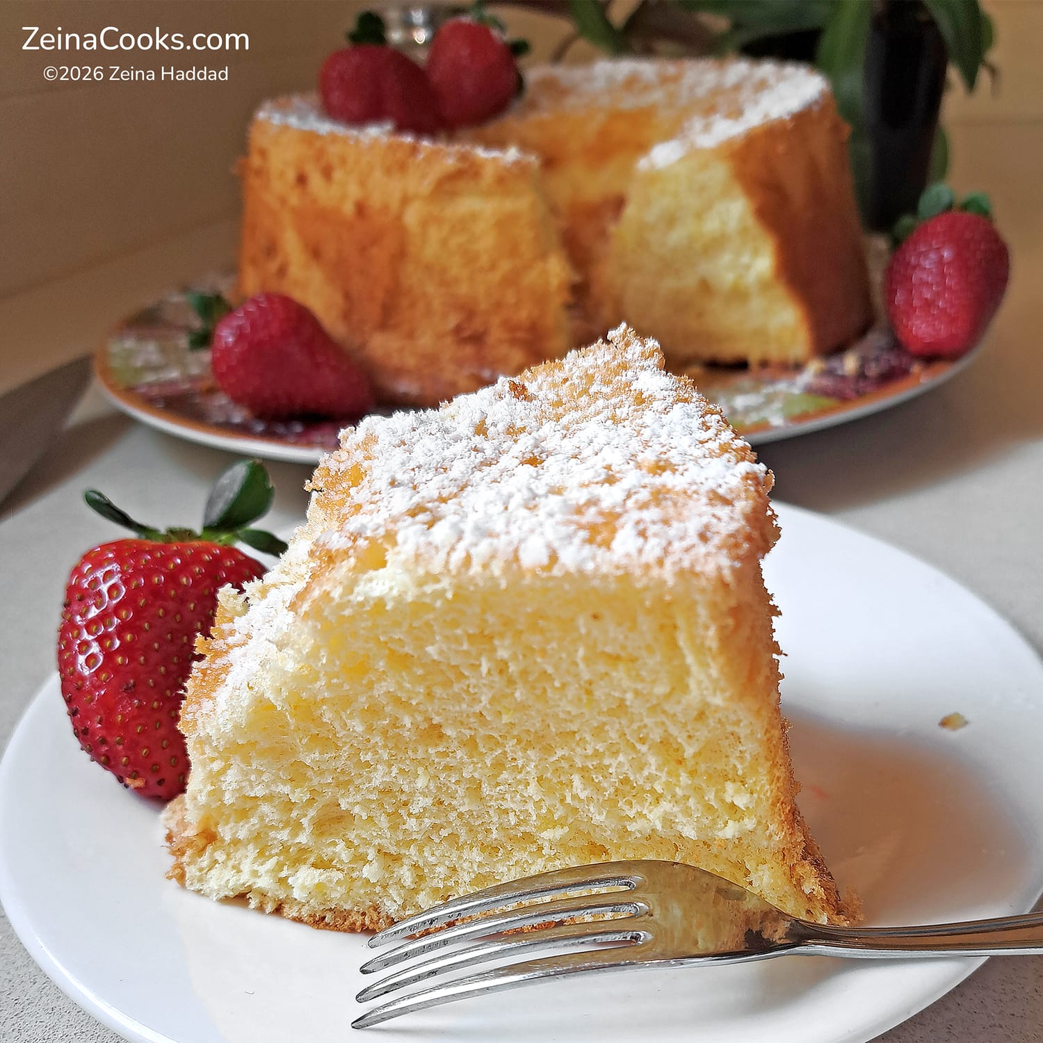 A close-up on a slice of American Sponge Cake showing the spongy soft crumb