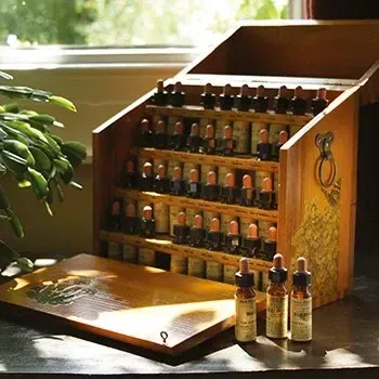 Boîte en bois contenant les élixirs des Fleurs de Bach pour l’équilibre émotionnel